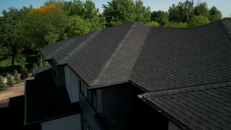 Best Roof Moss and Algae Removal  in Edwardsvle, IL
