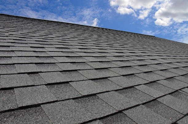 Best Roof Maintenance and Cleaning  in Edwardsvle, IL